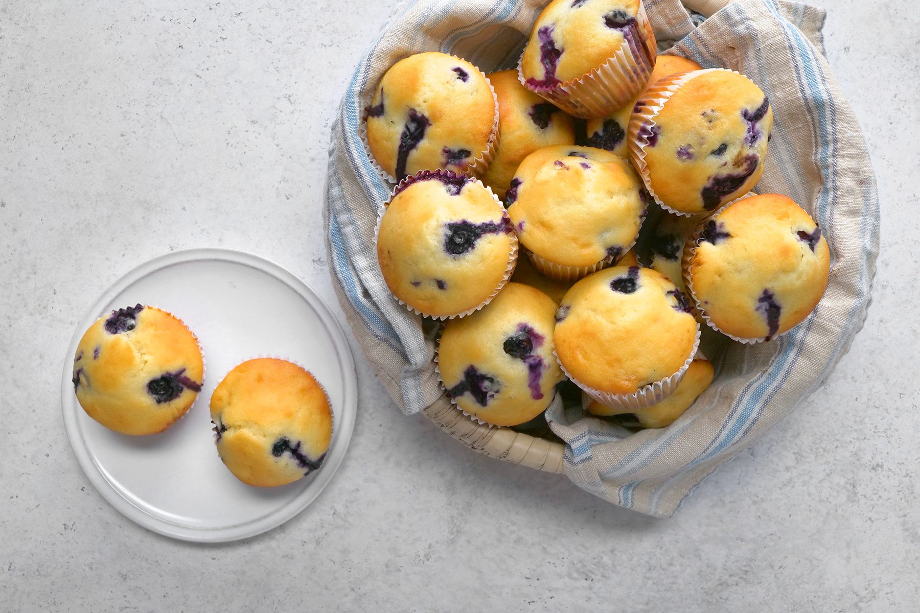 Blueberry Muffin 
