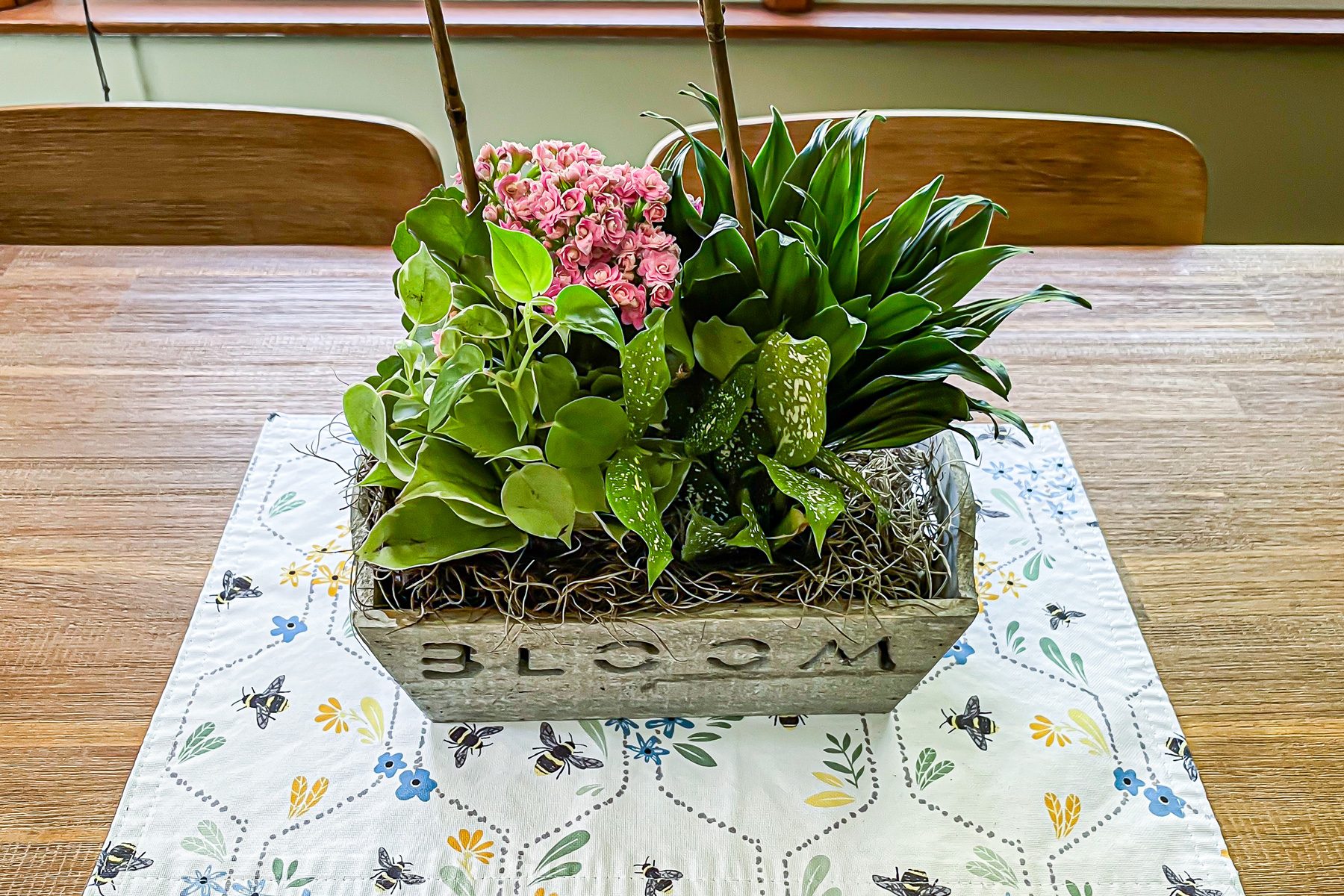 1 800 Flowers Plant Subscription