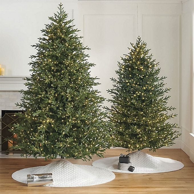 Frontgate Classic Fraser Fir Christmas Tree