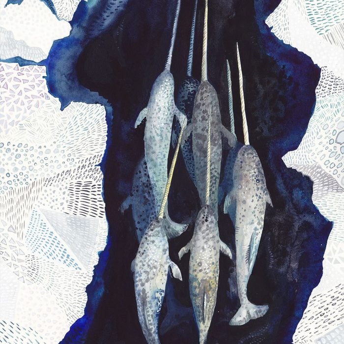 Jiggy Narwhal Puzzle