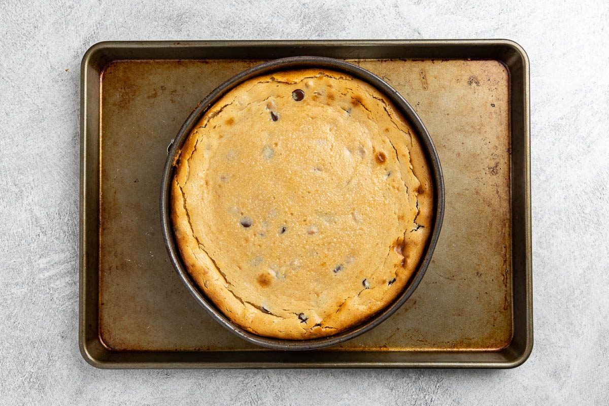baked cheesecake on a baking sheet