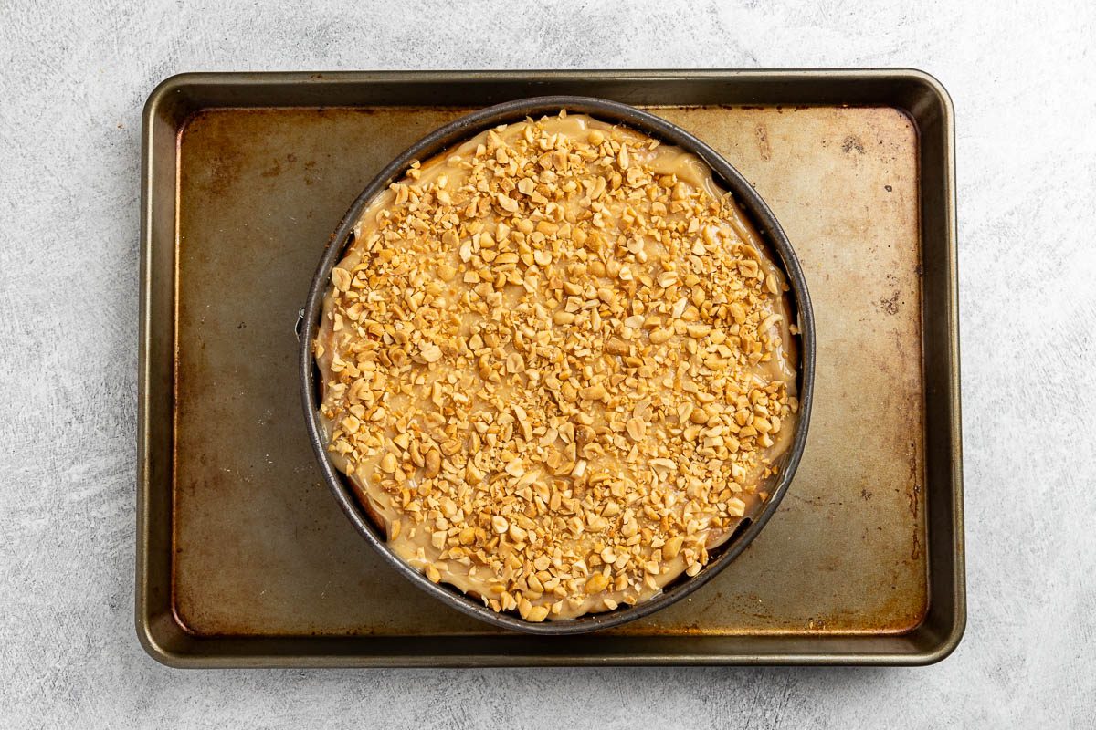 cheesecake with the sour cream, peanutbutter, sugar, and nuts topping.