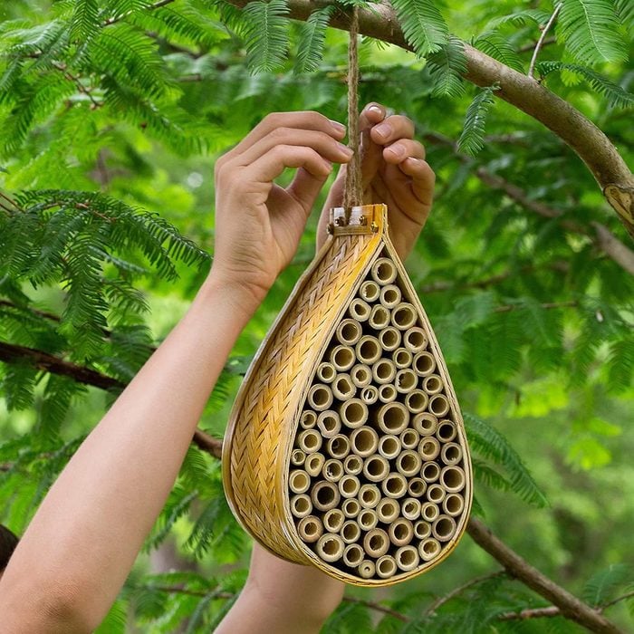 Sunvara Mason Bee House