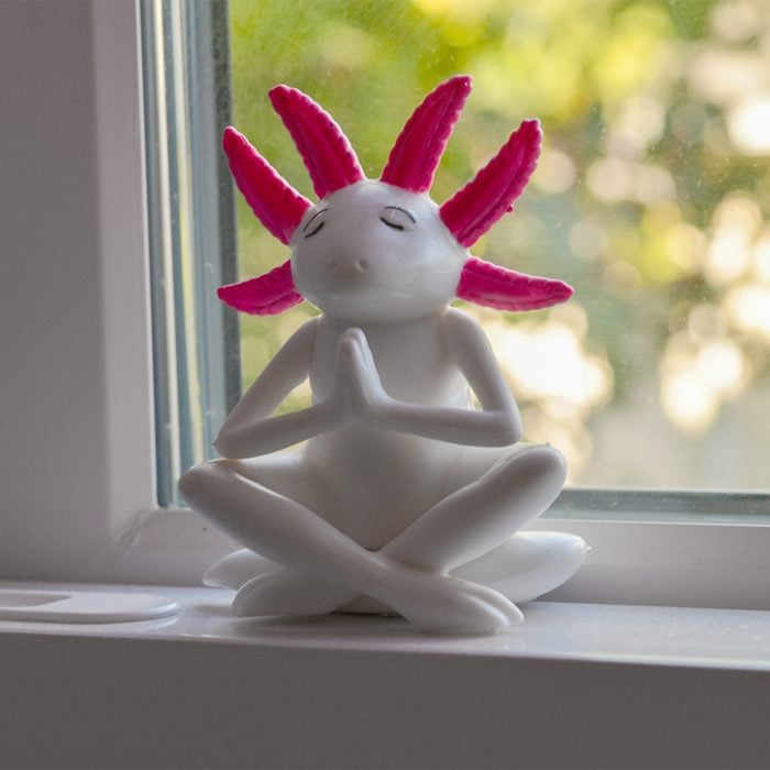 Archie Mcphee Spiritual Salamanders Meditating Axolotls