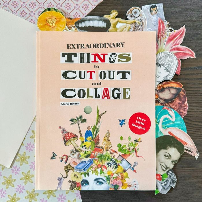 Extraordinary Things To Cut Out And Collage Book