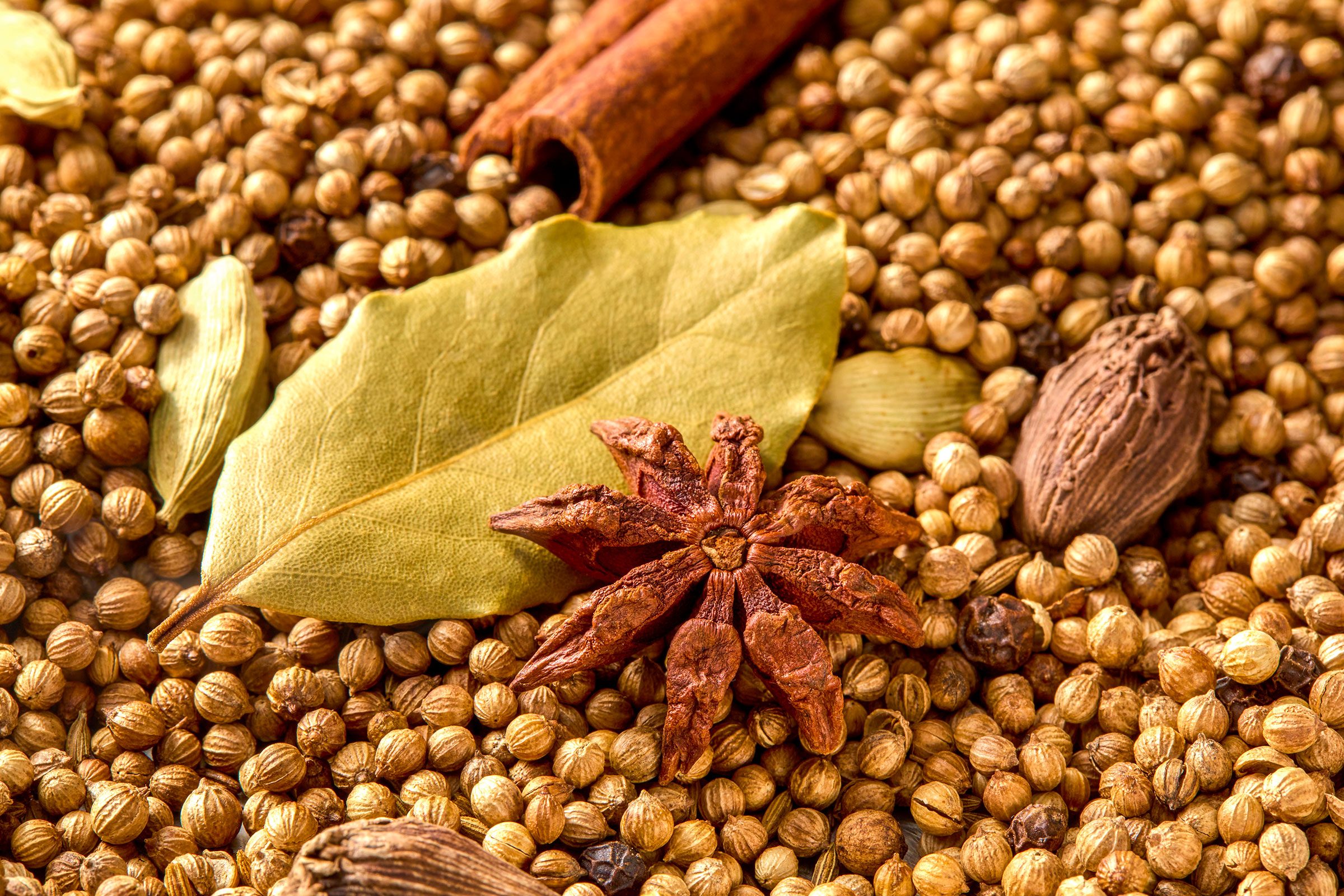 Spices as ingredients for Garam Masala