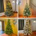 The Best King of Christmas Trees, Tested by Holiday Experts