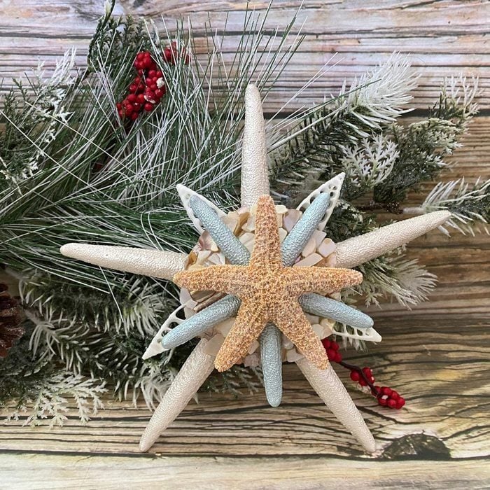 Beach Decor Tropical Coastal Starfish