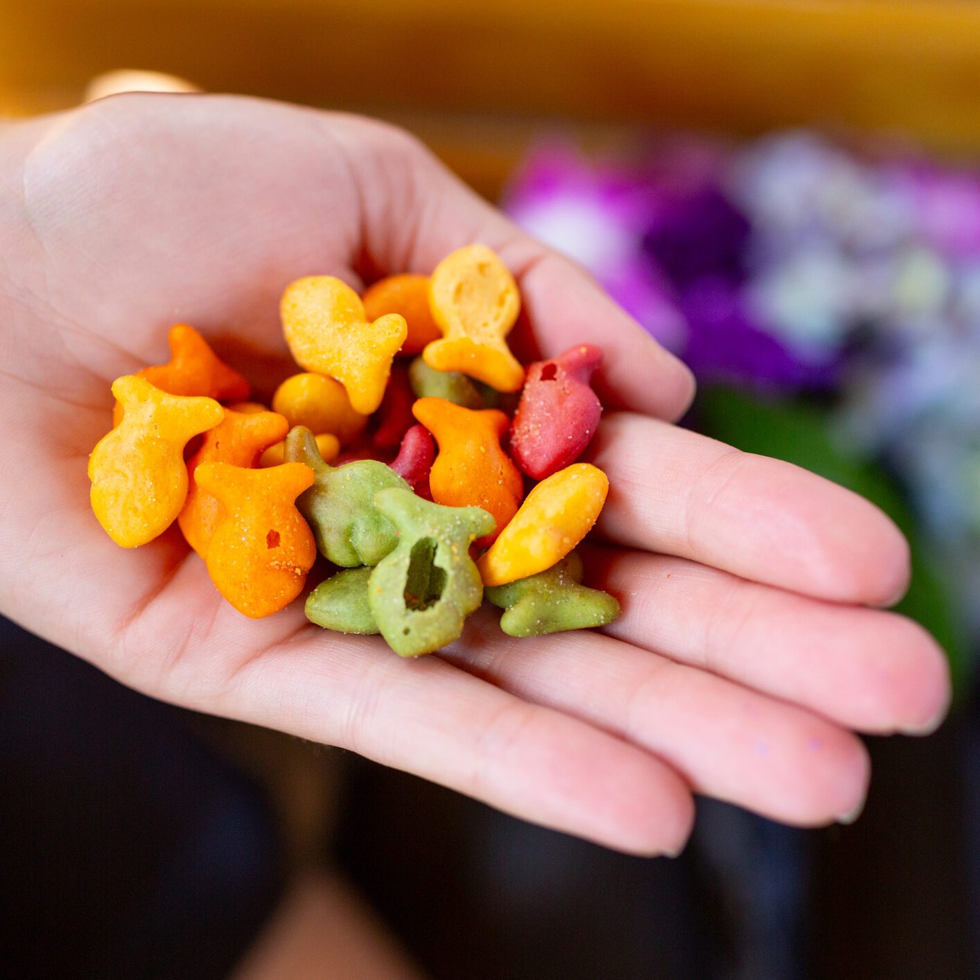 A handful of colorful snacks