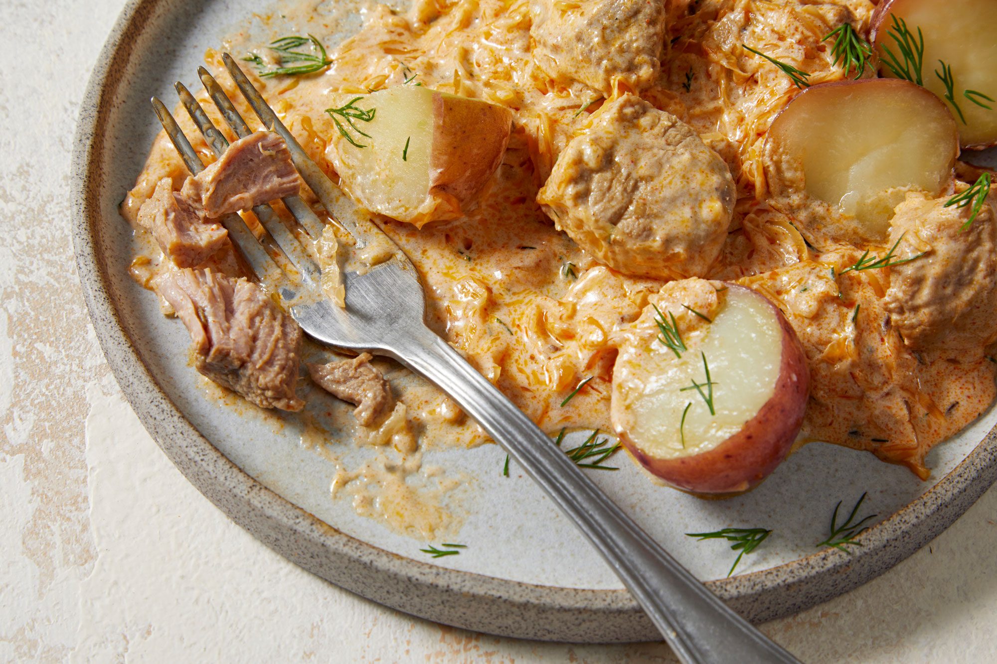 Close up shot of Hungarian Pork Goulash