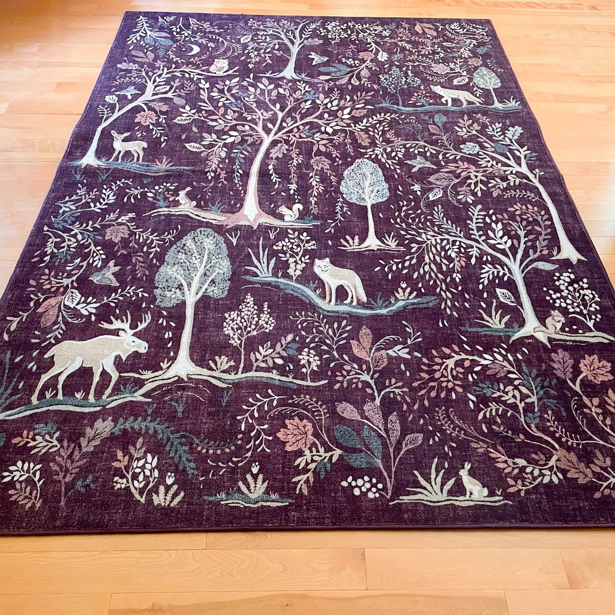 Ruggable Rug Review: Are the Large Sizes Really Washable?