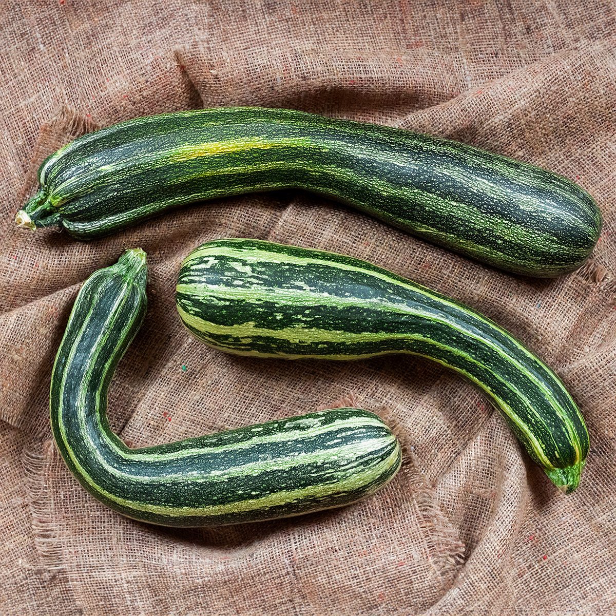 Stripped Zucchini
