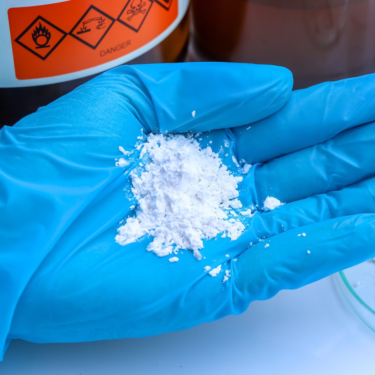blue gloved hand holding boric acid, a white powder