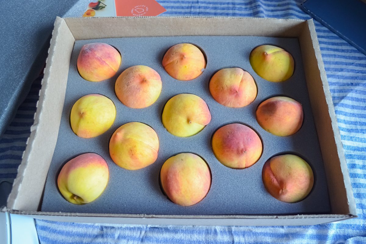 A cardboard box containing fifteen ripe peaches, each placed in its own circular slot in a foam insert, resting on a blue and white striped cloth.