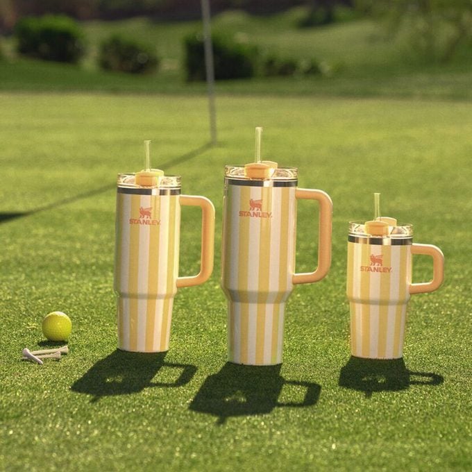 The Stanley Oasis Collection Is Here