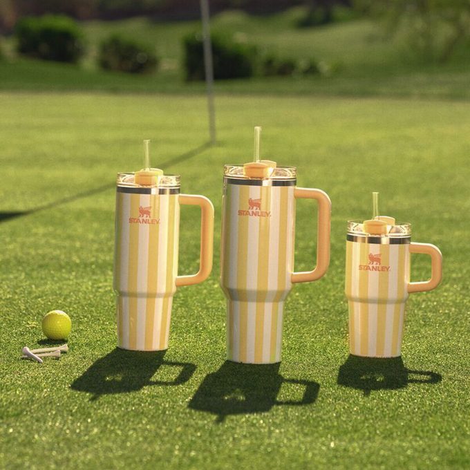 The Stanley Oasis Collection Is Here