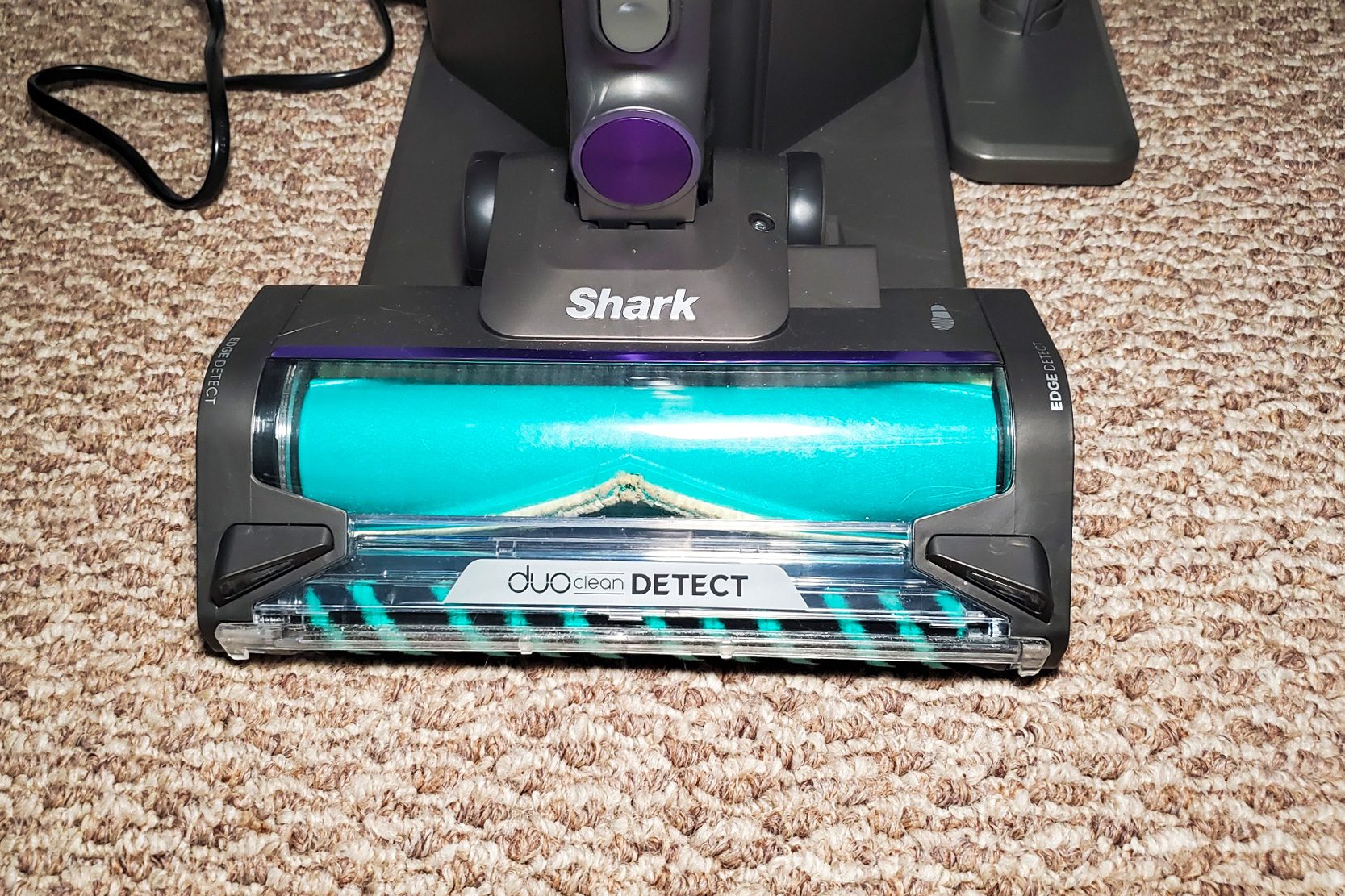 Toha25 Shark Powerdetect Clean Emily Way 02 Ssedit