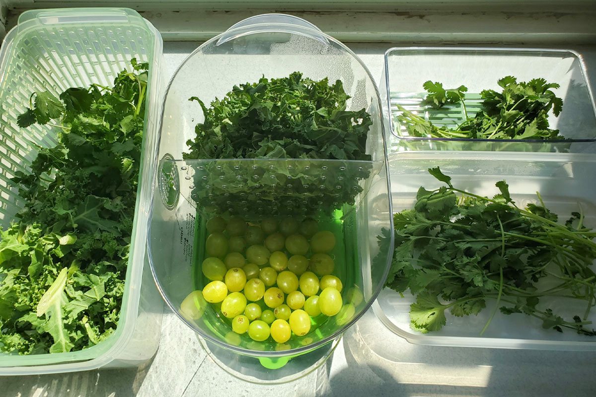 Top Fridge Containers 