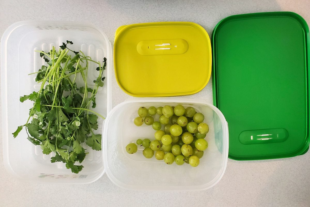 Top Fridge Containers