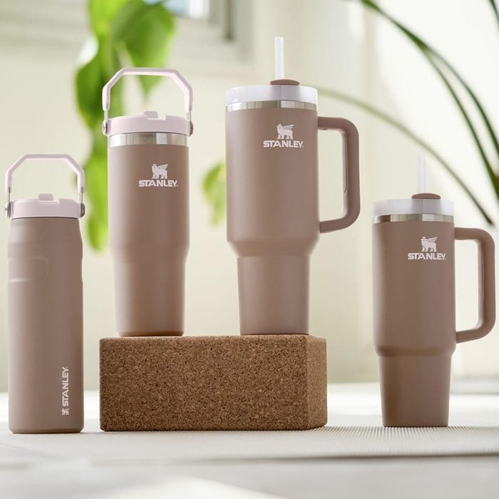 Stanley Quencher H2.0 Tumbler