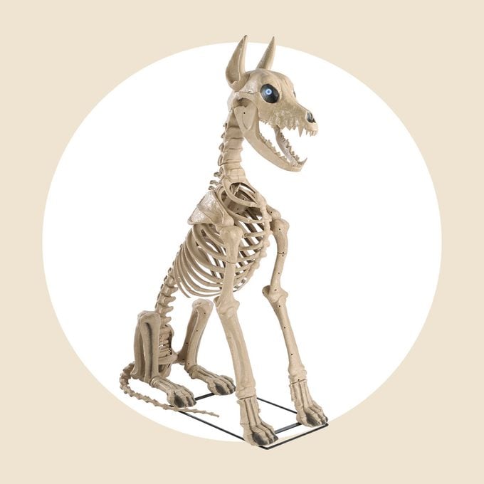 The Home Depots Giant Skeleton