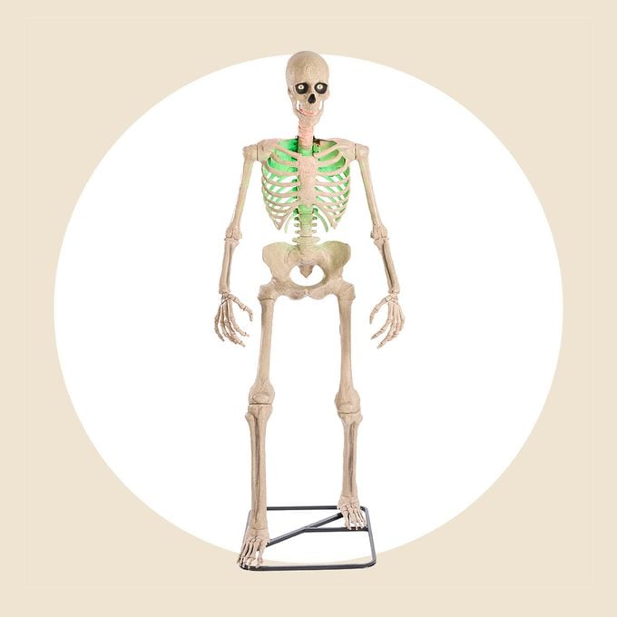 The Home Depots Giant Skeleton