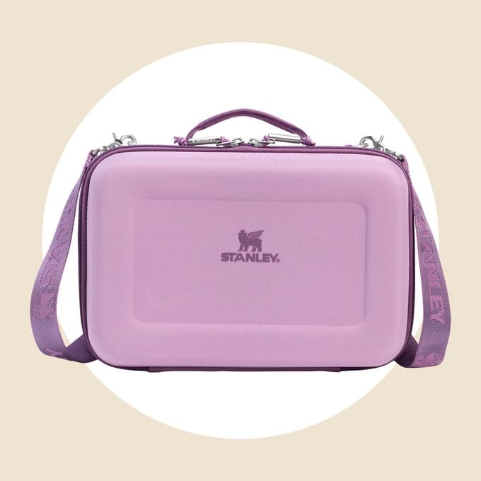 Stanley All Day Mini Lunch Box