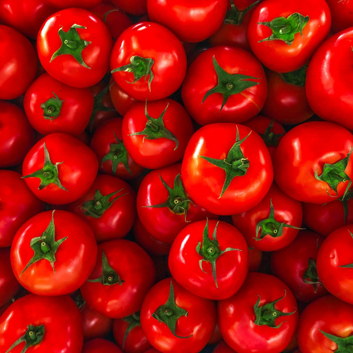 Stack of tomatoes