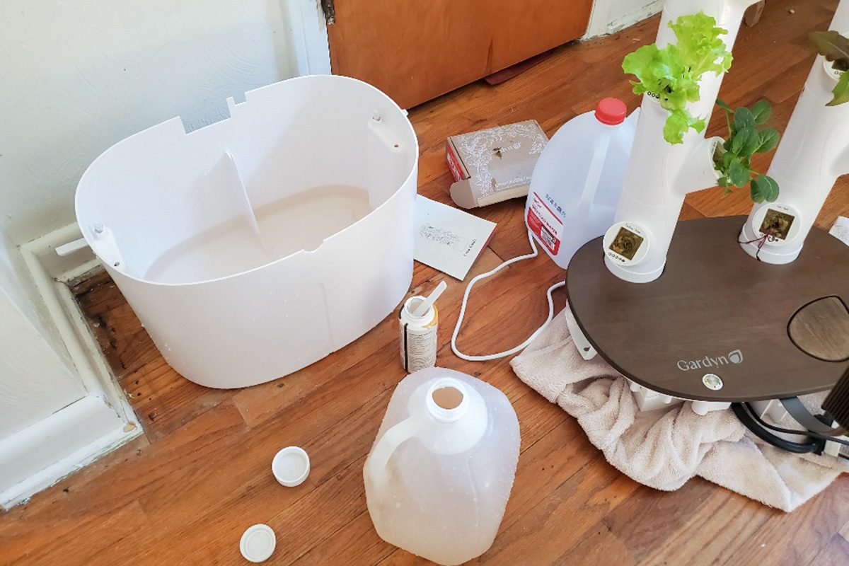 Toha25 Gardyn Studio Emily Way 03 Ssedit