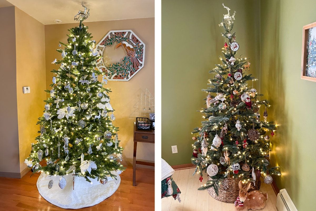 King Of Christmas Alpine and Noble