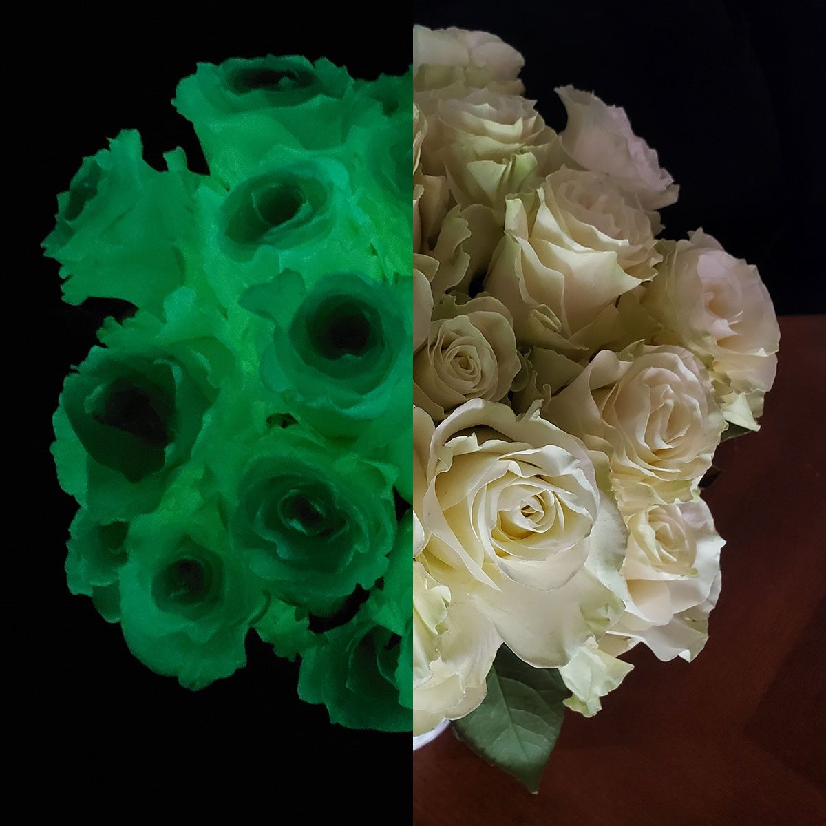 These Glow-In-the-Dark Roses Are Scary Cool—And Just in Time for Halloween!