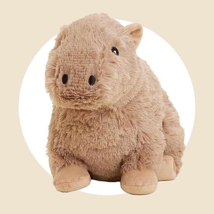 Warmies Capybara Via Warmies.com