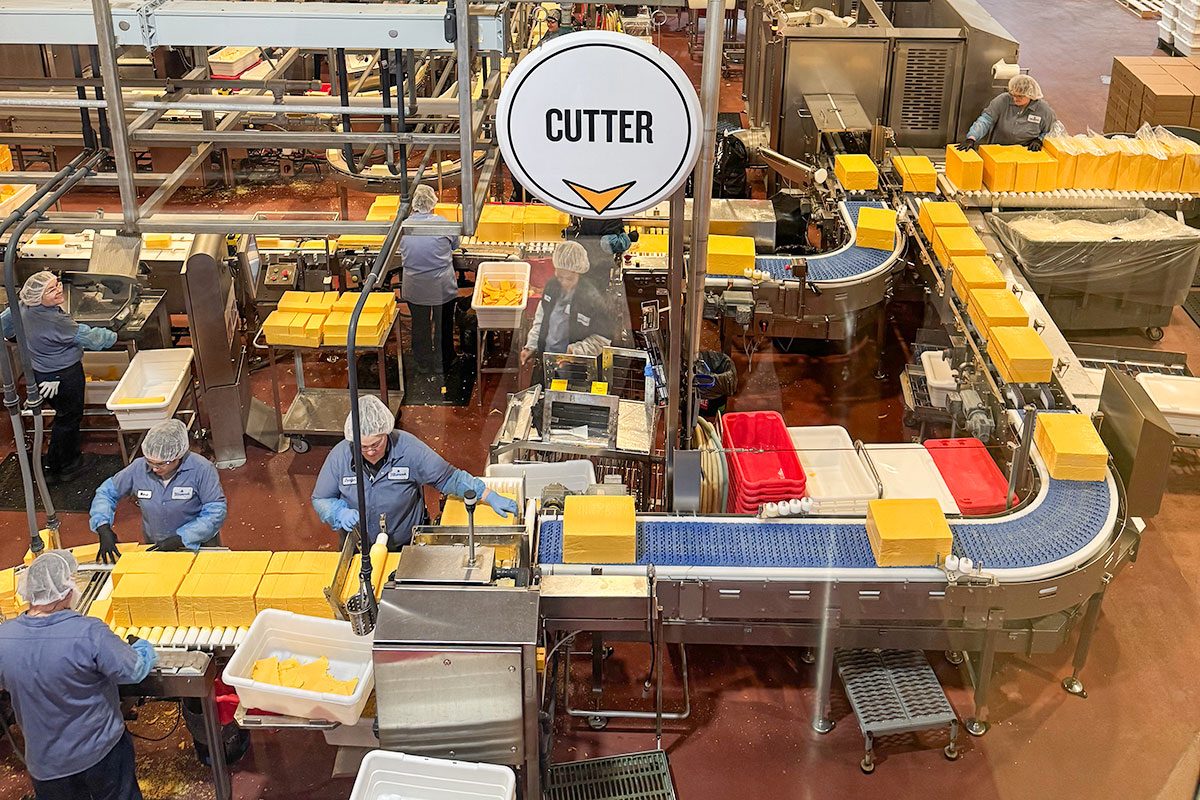 White Cheddar Vs Cheddar