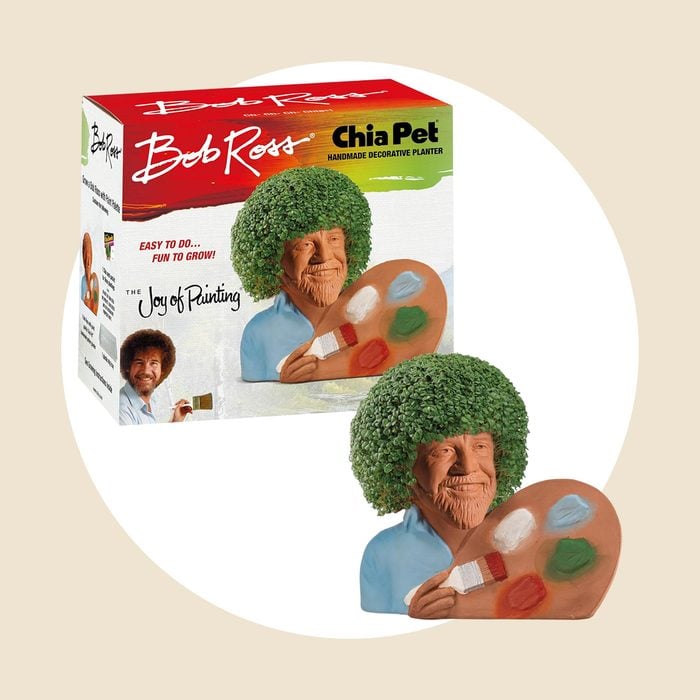 Chia Pet Bob Ross With Palette