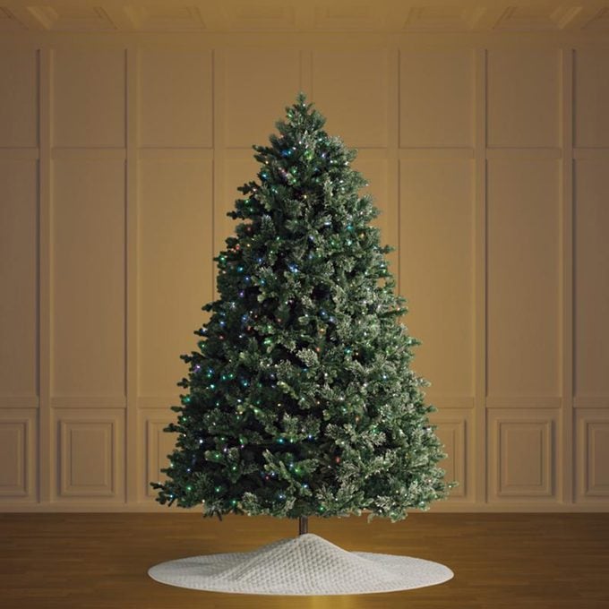 Scotch Pine Quick Light Tree