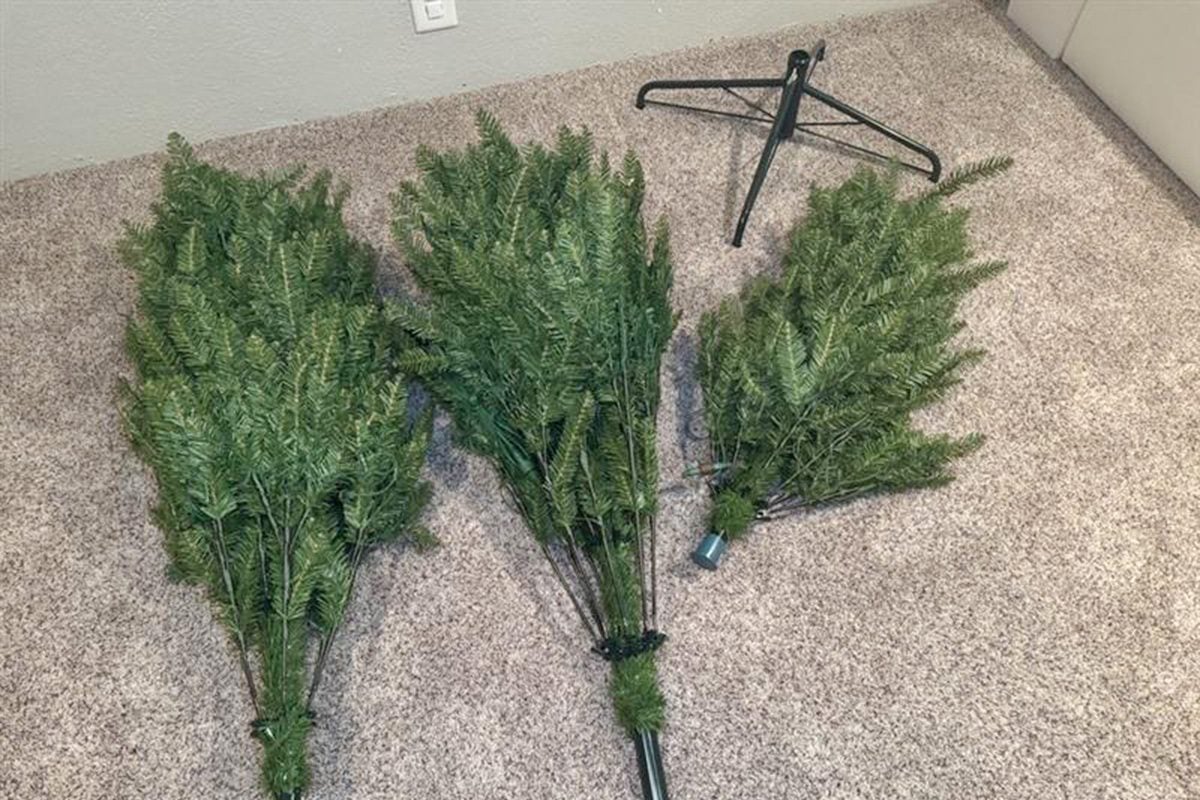 Toha25 King Of Christmas Yorkshire Fir Mary Henn 02 Ssedit