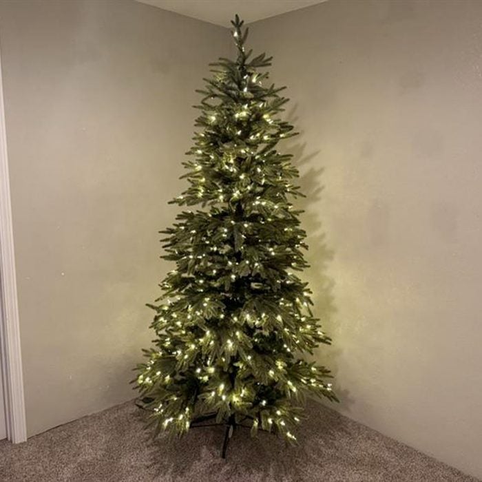 Toha25 Silverado Slim Tree  Mary Henn 01 Ssedit