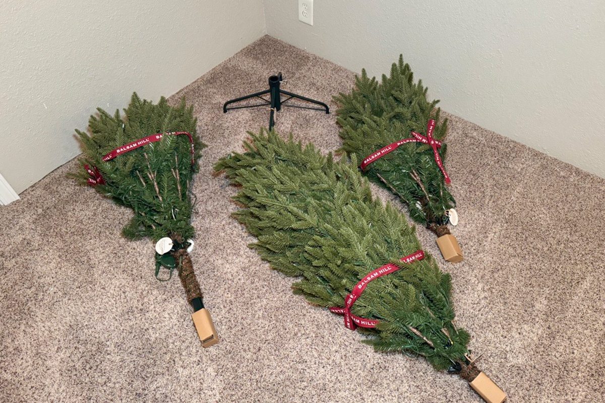 Toha25 Silverado Slim Tree Mary Henn 02 Ssedit