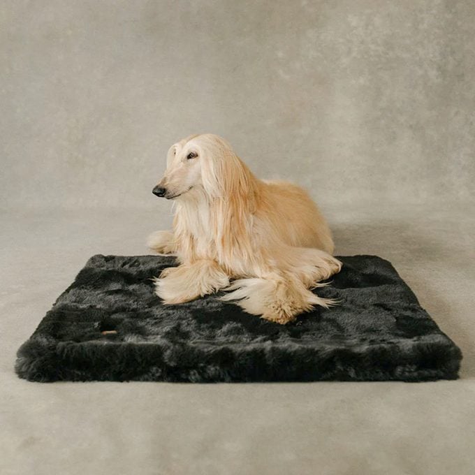The Lola Pet Pad In Charcoal Grey