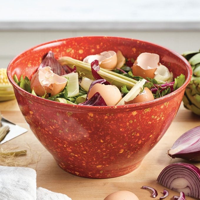 Rachael Ray's Garbage Bowl