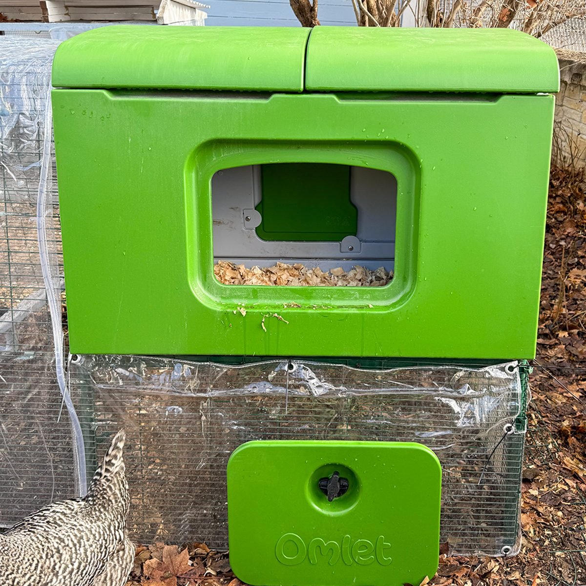 Omlet Chicken Coop Review: Is the Eglu Cube Worth It?