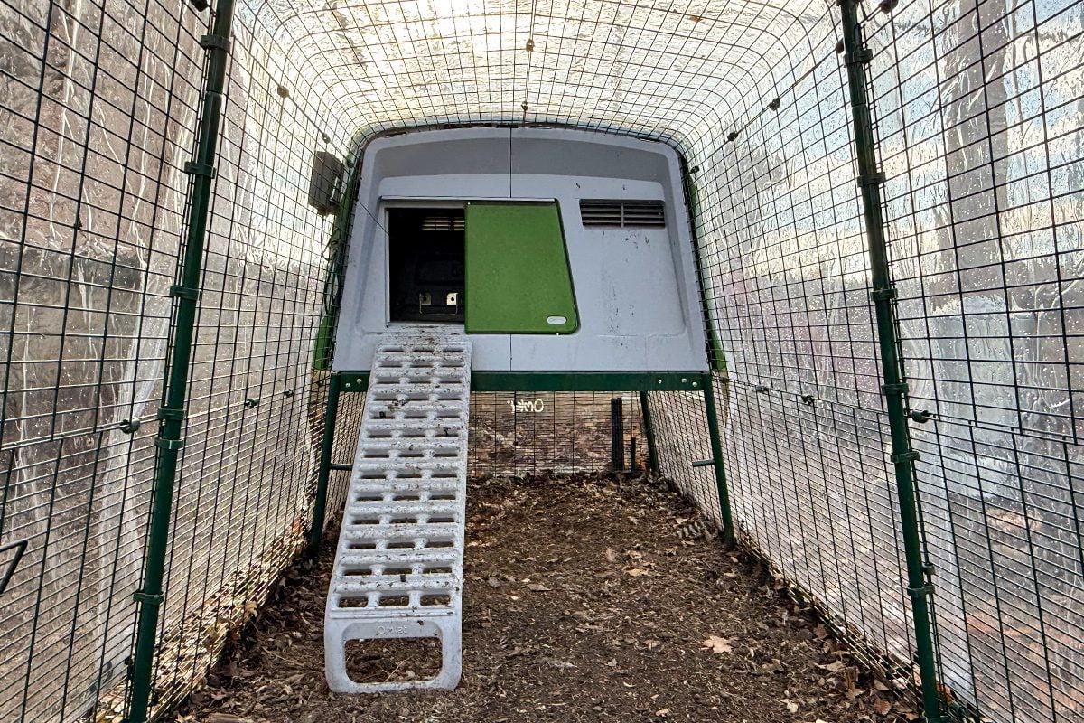 Toha25 Eglu Cube Lara Eucalano 06 Ssedit