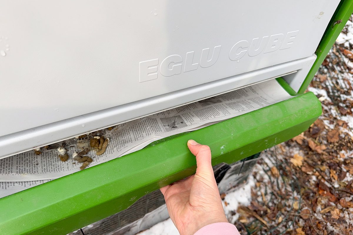 Toha25 Eglu Cube Lara Eucalano 08 Ssedit